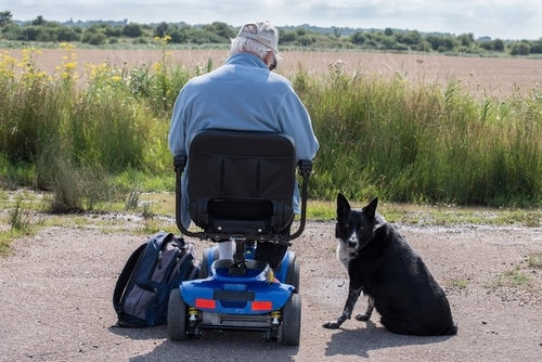 Man with limited mobility goes out for a day trip in the country and takes a lunch break with his black and white dog looking out over a grassy meadow. 