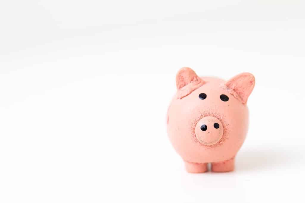 Pink piggy back on white background representing how disability discounts can help you save money