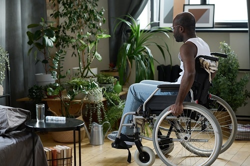 Rear view of African American man with disability sitting in a wheelchair and admiring house plants 