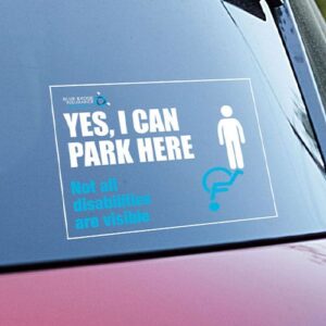 Blue Badge Insurance Australia Bumper Sticker