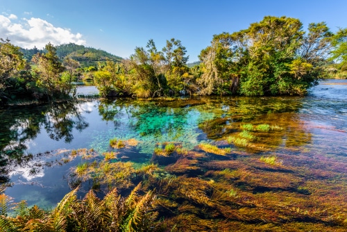 The Visit the accessible Te Waikoropupu Springs during the NZ Travel Bubble. 
