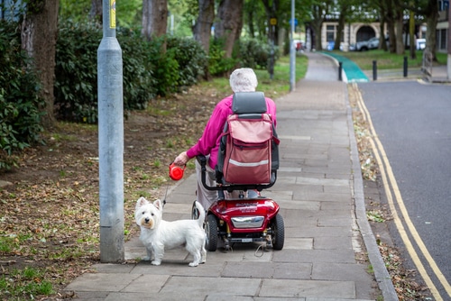 old woman driving mobility scooter while walking white dog