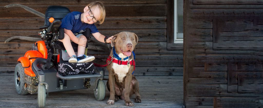 Assistance Dog Insurance