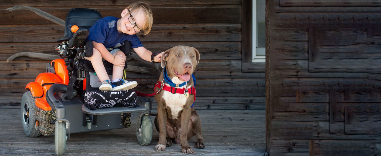 Dogs Assisting Humans Emotional Support Dog VS Assistance Dog: What's Different? - Blue Badge ...