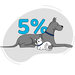 Blue Badge Insurance Multiple Pet Discount