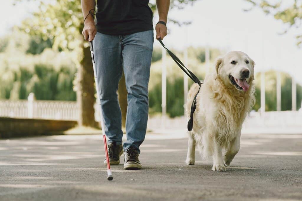 This man enjoys the effect his pet has on his emotional and mental wellbeing.