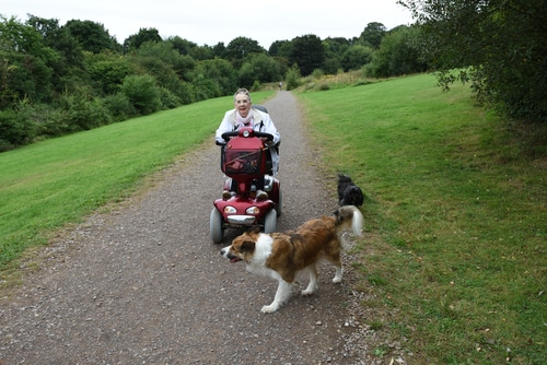 woman on mobility scooter with dogs