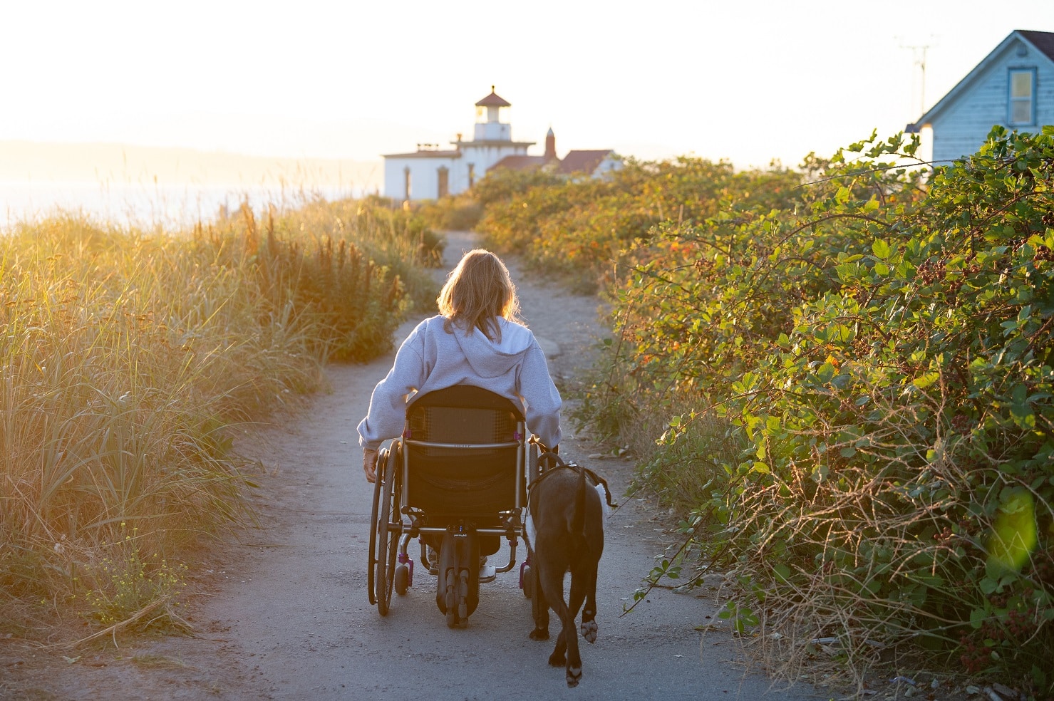 This woman in a wheelchair walking with a dog uses Blue Badge pet insurance