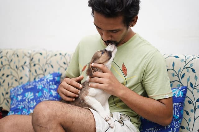 Blue Badge pet insurance protects this man on the couch with his greyhound