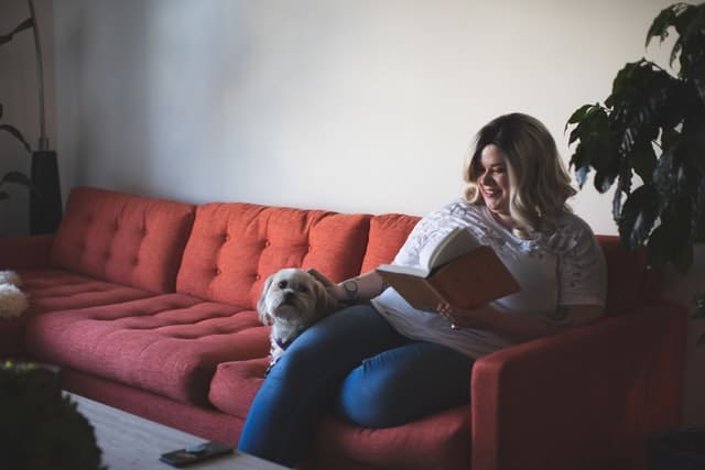 Home delivery meals, books and groceries make a great staycation