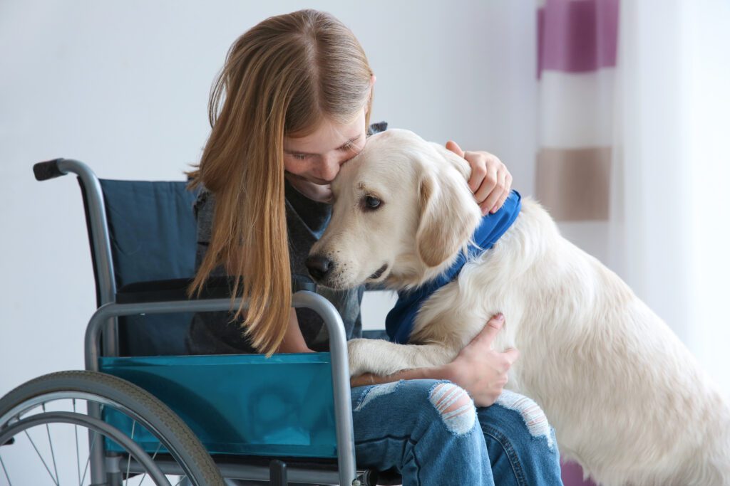 Assistance dogs like this one can perform a range of physical tasks like opening the door. 