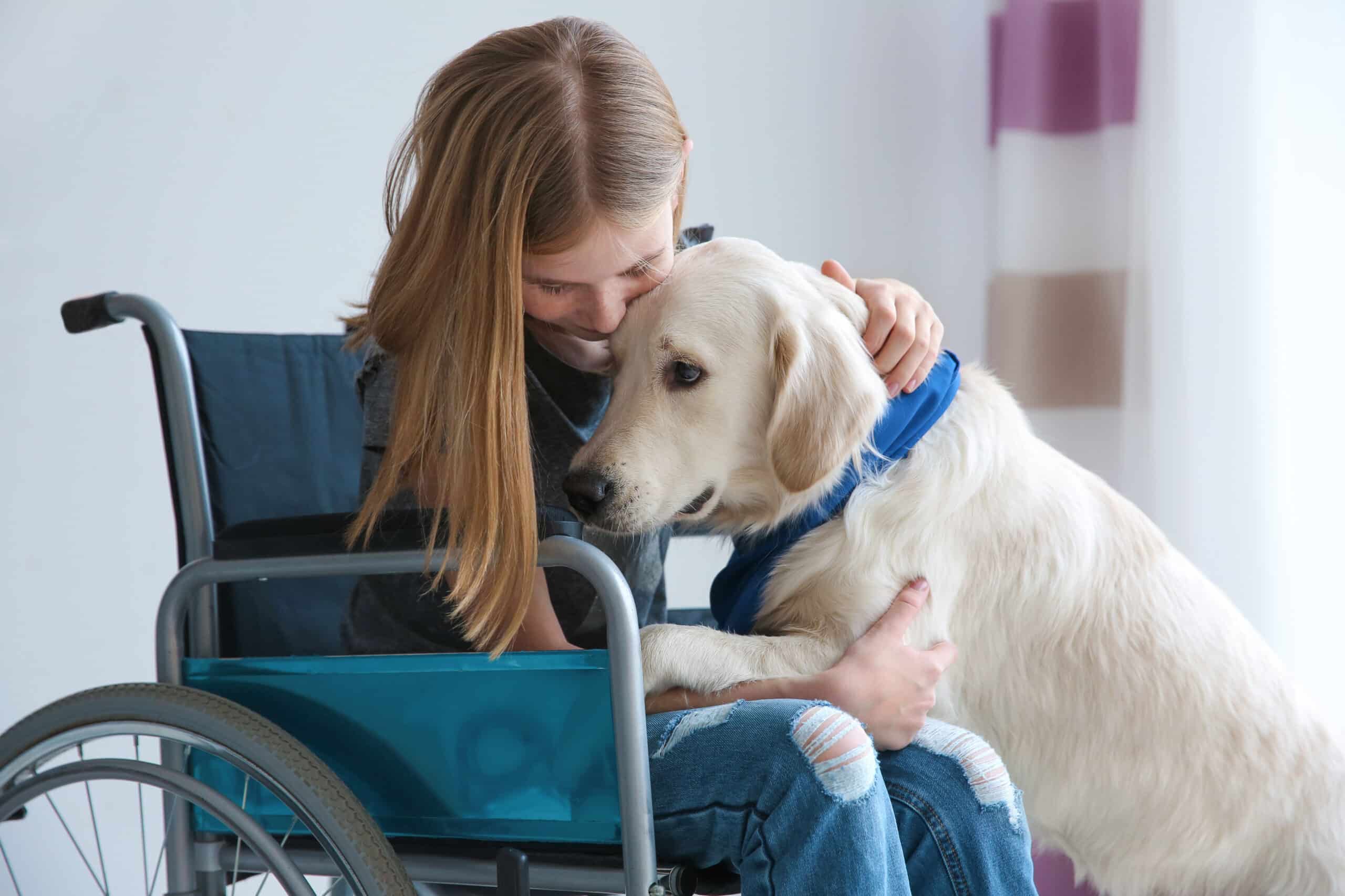 Assistance dogs like this one can perform a range of physical tasks like opening the door