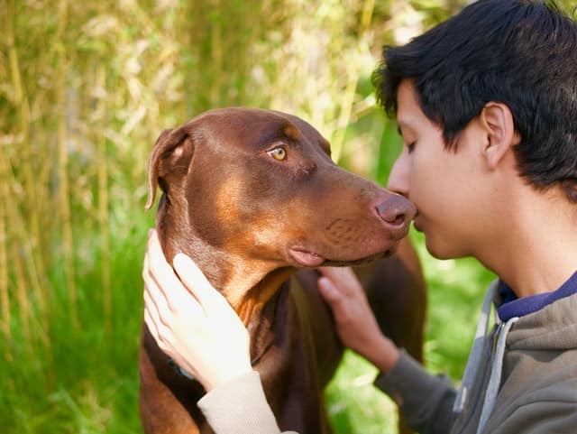 assistance dogs help people with autism