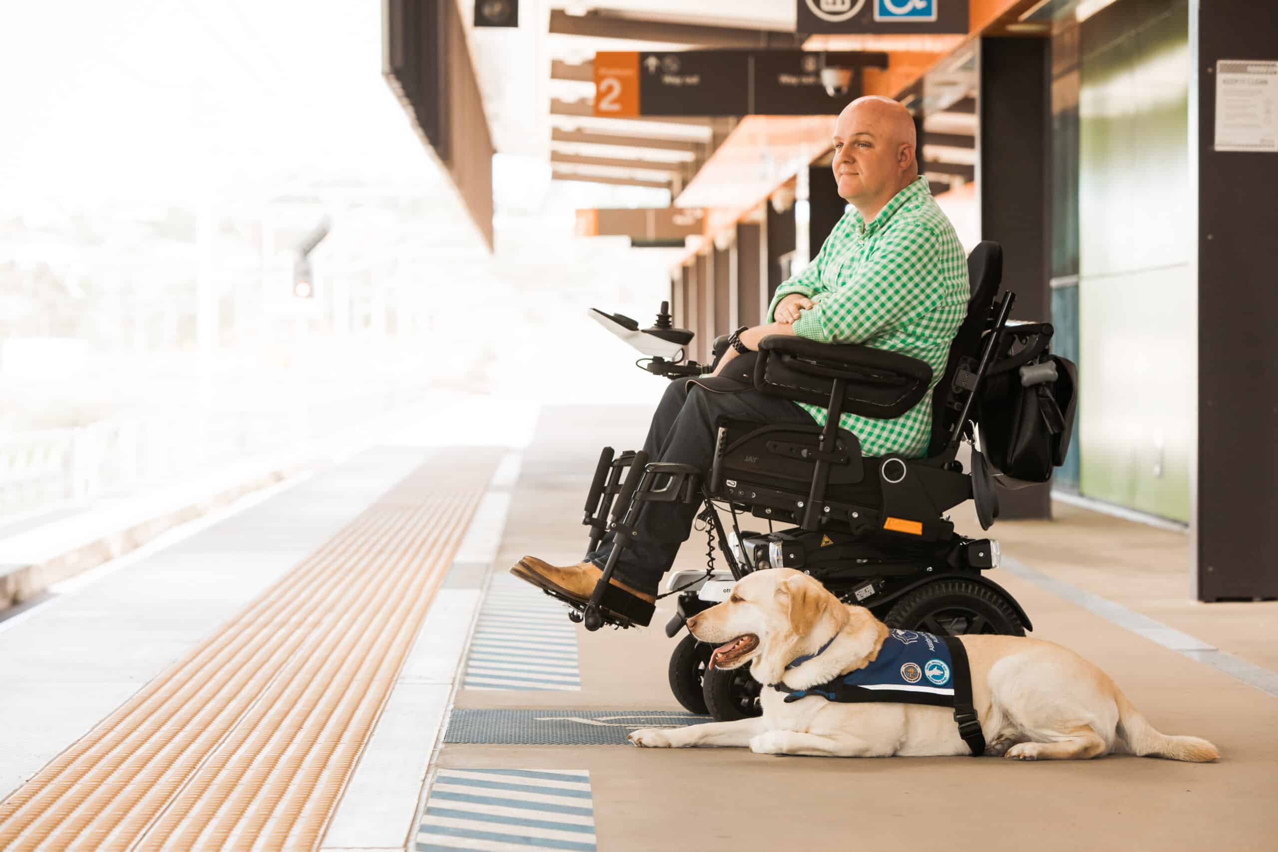 Tim McCallum's assistance dog in training is not funded by the NDIS