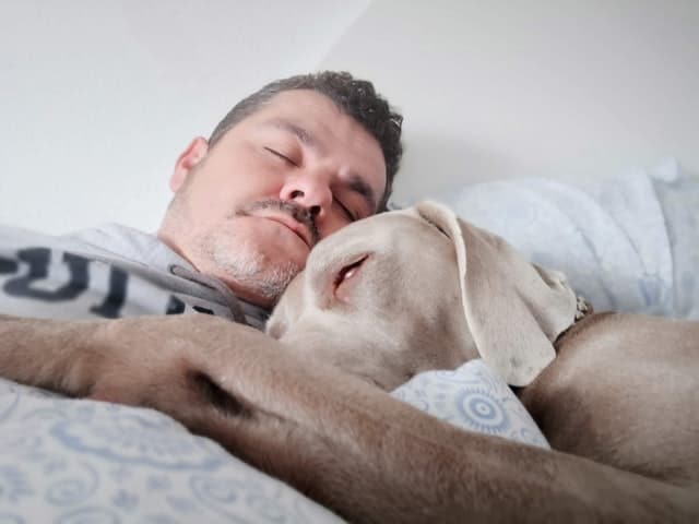 Benefits of sleeping with pets in bed include reduced anxiety