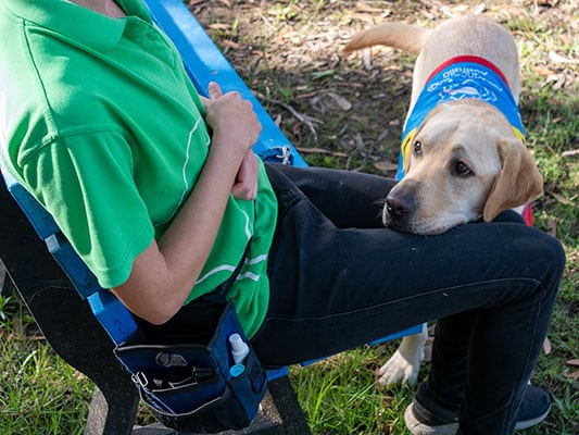 As someone travelling with a disability, you may need to take your Assistance Dog like this pup wearing their uniform.