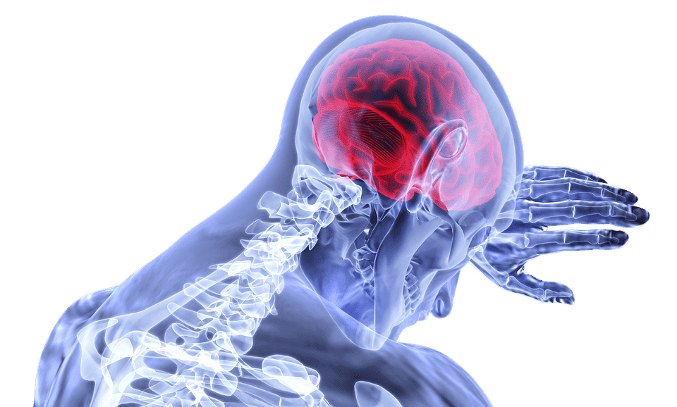 This drawing of a human skeleton with a brain represents that with Alzheimer's vs dementia both affect the brain