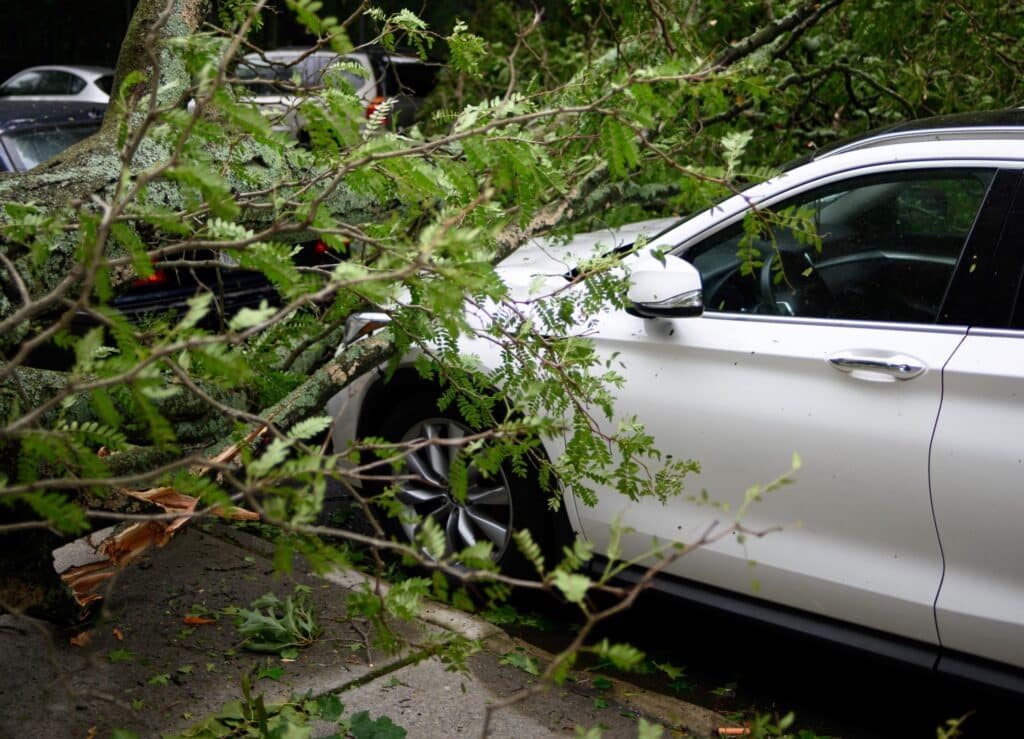 car gets damaged from tree falling in a storm