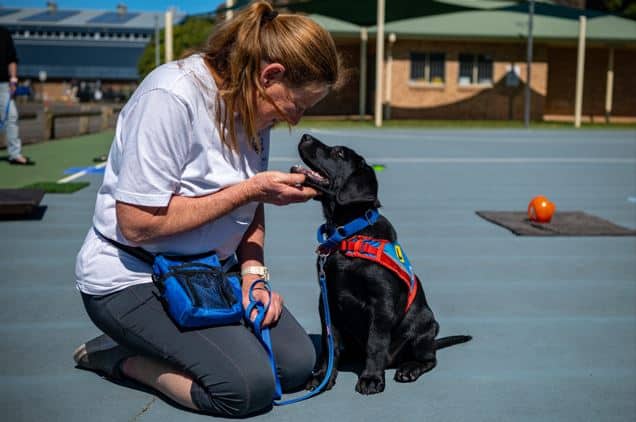this woman in a white shirt and dark pants is training an assistance dog that's black