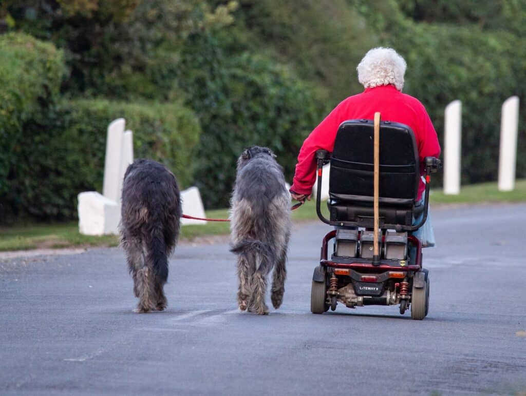 An old woman wearing a red sweater rides a mobility scooter alongside her two dogs.
