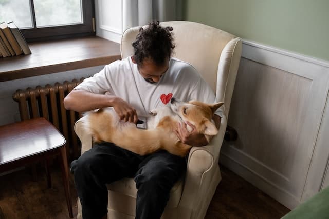 man with limited mobility uses a pet grooming brush as a dog hair remover