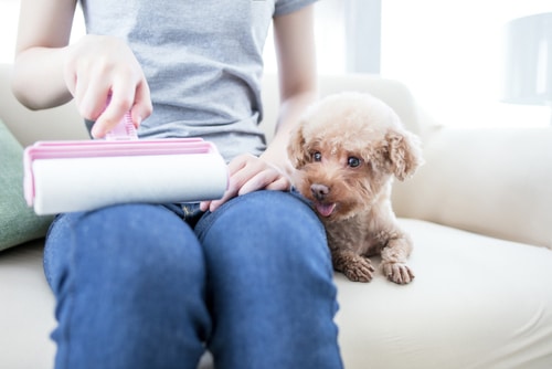 A woman uses a lint roller to remove dog fur from her clothing