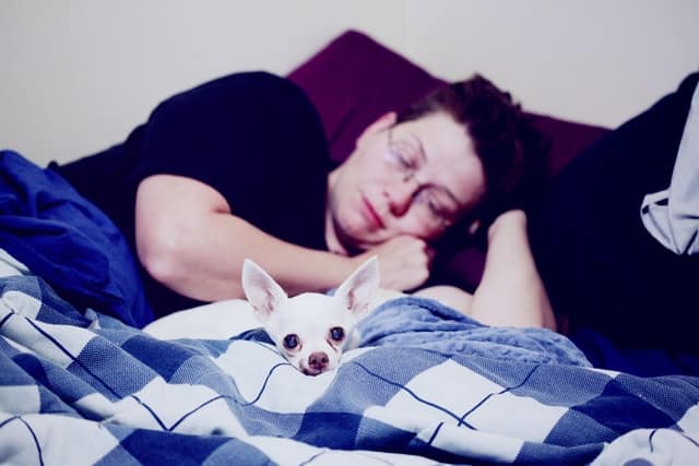A woman sleeps next to her emotional support animal