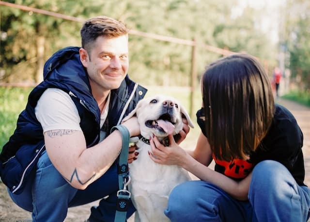 Pet insurance for Assistance Dogs protects this pup as they take care of their human