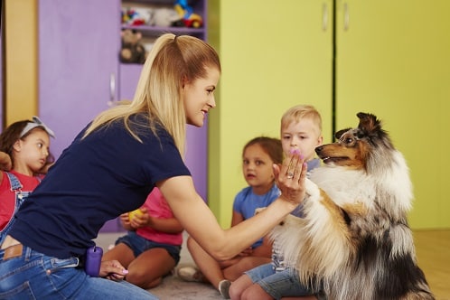 An educational support dog at school giving a teacher the paw