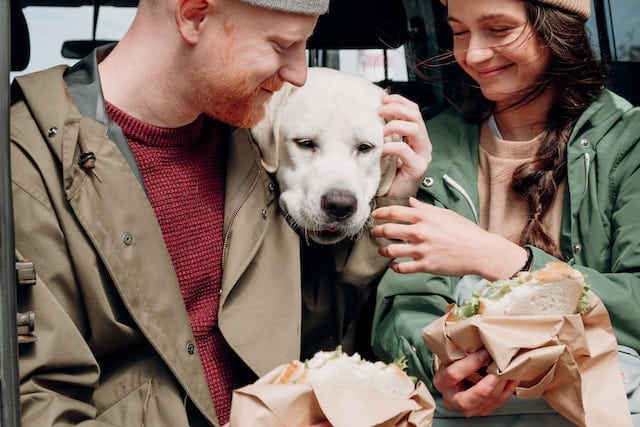 A couple smiles lovingly at their pet dog, sitting between them.