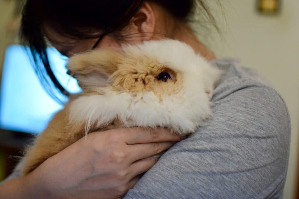 Rabbits, guinea pigs, and hamsters can be excellent pets for mental health.