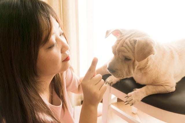 an Australian woman pet her puppy, which she has safeguarded with dog insurance for puppies
