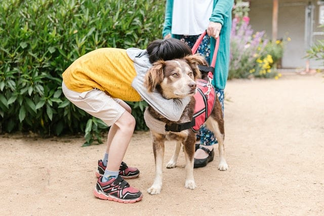 a little boy hugs his autism assistance dog and his mother holds the leash