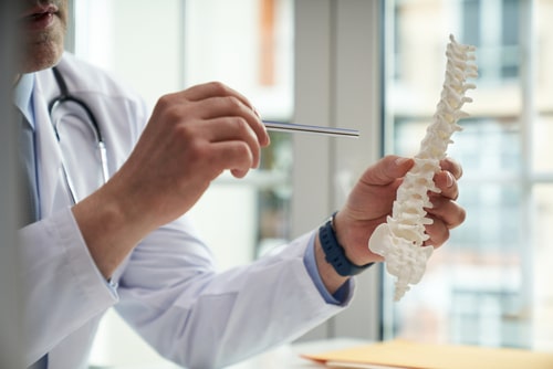 Healthcare worker holding a model of a human spine pointing to one of its segments with a metal stick