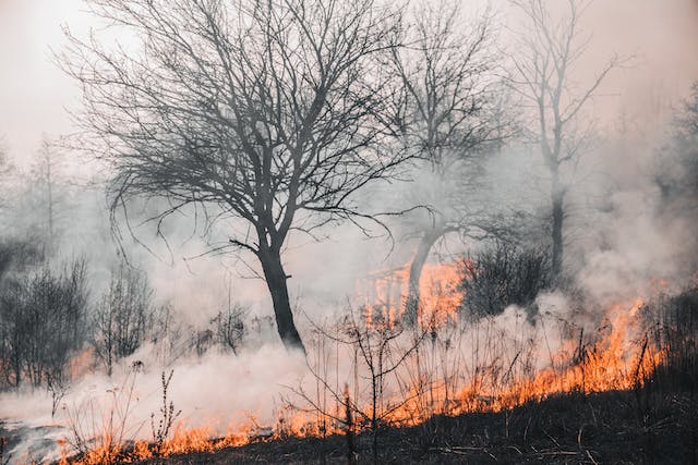 A fire breaks out during Australian bushfire season