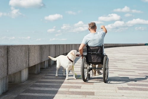 A man in a wheelchair accompanied by his service dog,