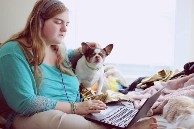 A woman sitting on a bed with her Assistance Dog as she completes a service dog pet insurance claim via her Blue Badge Insurance portal