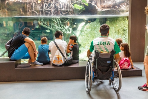 A wheelchair user and children enjoying a wheelchair-friendly activity at an aquarium.