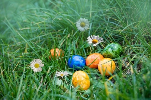 Inclusive Easter Egg Hunt with colorful eggs laying in the grass.