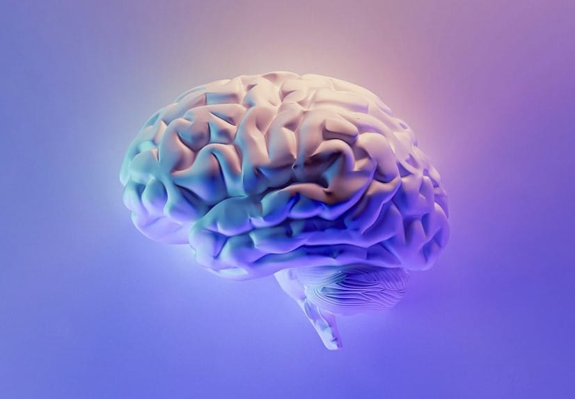 A 3D image of a human brain connected to a brain-computer interface on a purple background.