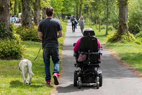A man walks a dog alongside a companion with a motorized wheelchair on a tree-lined park pathway.