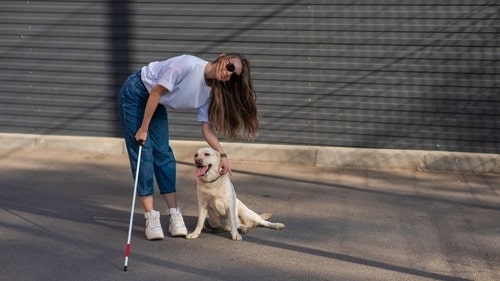 A woman wearing sunglasses uses a white cane and pets her trusty Labrador, exemplifying the strong bond celebrated on International Guide Dog Day, as they navigate a paved street with a dark wall in the background.