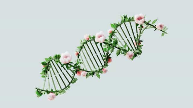 An illustration of a DNA double helix made of green leaves and pink flowers, symbolizing a connection between genetics and nature, subtly hints at conditions like cystic fibrosis and phenomena such as finger clubbing.