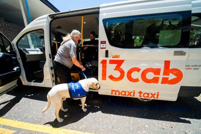 Team Gus from Assistance Dogs Australia, catch a taxi