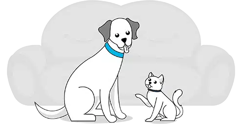 An illustration features a white dog and cat with blue collars sitting in front of a gray sofa, highlighting the serene companionship that underscores the importance of pet insurance.