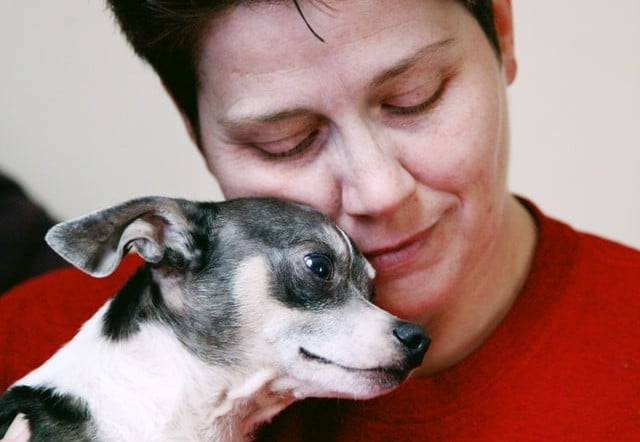 A person in a red shirt gently embraces a small black and white dog, resting their face against the dog's head—join the pet health movement this World Pet Health Month and celebrate the bond you share.