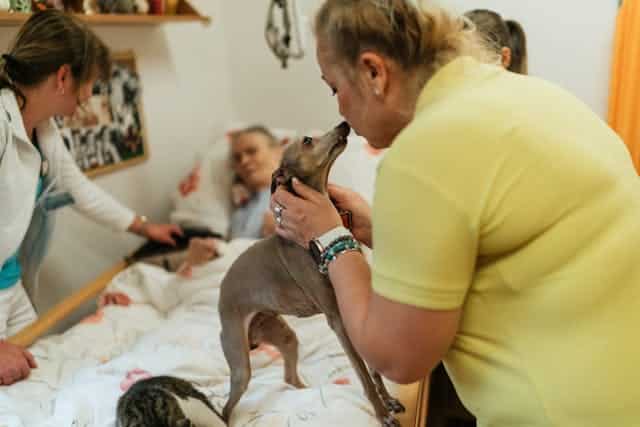 A woman and her therapy dog join the pet health movement by offering pet therapy to hospital patients.